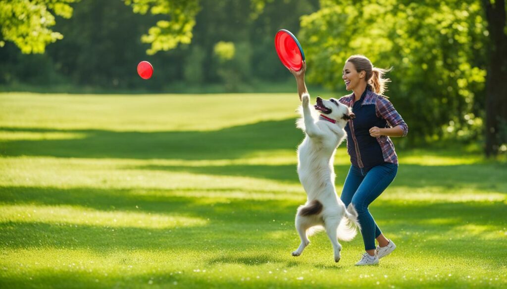 dog and owner enjoying outdoor activity